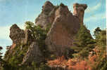 CARTE POSTALE DE MONTPELLIER LE VIEUX - AVEYRON - LE CHAMEAU - Dolmen & Menhirs