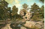 CARTE POSTALE DE LA FORET DE FONTAINEBLEAU - 77 - LE SPHINX DES DRUIDES A FRANCHARD - Dolmen & Menhirs