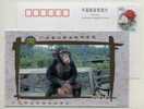 Rare Animal Chimpanzee,CN 00 Xiangjiang Wildlife World Park Advertising Postal Stationery Card - Schimpansen