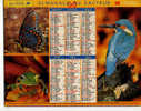 CALENDRIER ALMANACH DES PTT GRAND FORMAT ANNEE 1999 LOUVETEAU/LIEVRE / CERF  VIRGINIE /PAPILLON/MARTIN PECHEUR/GRENOUILL - Tamaño Grande : 1991-00