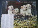 CALENDRIER GRAND FORMAT ALMANACH DES PTT/ ANNEE 1973 CHIOTS ET CHATON NON RIGDE + PHOTOS INTERIEUR COLIBII CHEVAUX - Formato Grande : 1971-80