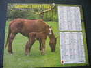 CALENDRIER GRAND FORMAT DOUBLE ALMANACH DES PTT    1980 CHEVAUX ET POULAINS - Formato Grande : 1971-80