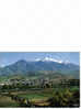 Carte Postale 66.   La Côte Vemeille  PRADES  Massif Du Canigou - Prades