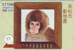 Monkey SINGE AFFE AAP Telecarte (87) - Jungle