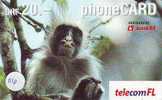 Monkey SINGE AFFE AAP (116) - Jungle