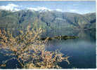 Carte Postale SUISSE -Isole Di Brissago  "Lago Maggiore"  Lac Majeur  édit : IRIS - Brissago