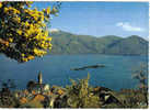 Carte Postale SUISSE -Ronco Sur Ascona  "Lago Maggiore"  Lac Majeur  édit : IRIS - Ascona