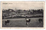 4898 - Manderfeld - Panorama - Bullange - Bullingen