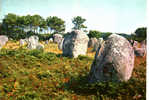 CARTE POSTALE DE MENHIRS - CARNAC - Menhirs De Kerlescant - Dolmen & Menhirs