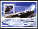 GUINEE 2002, ORQUES ET BALEINES, 1 Bloc, Neuf / Mint. R1248 - Ballenas