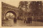 Beauraing Avenue De La Grotte Et Arbre Des Apparitions - Beauraing