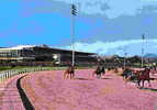 CAGNES-sur-MER - L'Hippodrome De La Côte D'Azur - Hippisme