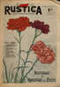 Rustica 14e Année N°34 - 24 Aout 1941 - Bouturage Et Marcottage Des Oeillets - Tuinieren