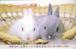 Télécarte JAPON - ANIMAL- LAPIN - RABBIT JAPAN Phonecard- Kaninchen Tier TK Konijn Conejo - 07 - Rabbits