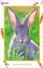 Télécarte Japon / NTT 231-265 - LAPIN - RABBIT Japan Phonecard - KANINCHEN - KONIJN - CONEJO - 12 - Rabbits