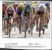 Cyclisme, Vélo, Photo-Presse : Tom Steels Et Erik Zabel (3e étape, Tour De France 2000 ), (15 Cm Sur 19 Cm) TBE - Cycling