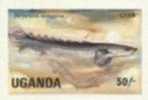 UGANDA 1985, Grey Bichir Fish 50s, IMPERF.  [non Dentelé,geschnitten,no Dentado,non Dentellato,ongetande] - Oeganda (1962-...)