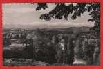 CP SAUVETERRE DE BEARN - VUE SUR LA CHAINE DES PYRENEES - Sauveterre De Bearn