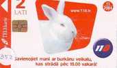 KONIJN Rabbit LAPIN Op Telefoonkaart (352) - Konijnen