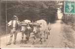 71 - CHAROLLES - Attelage Charollais En Forêt - Charolles