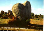 CARTE POSTALE DE CARNAC - ALIGNEMENTS DU MENEC - LE CHEVAL DE SAINT CORNELY - Dolmen & Menhirs