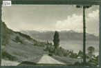 DISTRICT DE LAVAUX /// VUE DU SIGNAL DE GRANDVAUX - TTB - Grandvaux