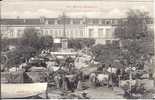 31 - St GAUDENS - Marché Aux Bestiaux - Saint Gaudens