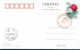 Beijing 2008 Olympic Games´ Postmark, Olympic Sports - Summer 2008: Beijing