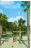 Florida´s Silver Springs - Silver Springs