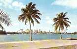 MIAMI FLORIDA . SKYLINE OF BEAUTIFUL MIAMI LOOKING ACROSS BISCAYNE BAY. - Miami Beach
