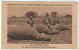 CITROEN  HIPPOPOTAMES CHASSE X - Repubblica Centroafricana