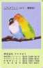 Rare Télécarte JAPON - ANIMAL - OISEAU PERROQURT - PARROT BIRD JAPAN Phonecard -- PAPAGEI Vogel - Parrots