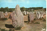 CARTE POSTALE DE MENHIRS A CARNAC - ALIGNEMENTS DE KERMARIO - Dolmen & Menhirs