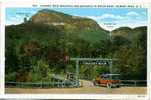 ETATS UNIS Chimney Rock Mountain And Entrance To Motor Road (Editeur Asheville Post Card) - Altri & Non Classificati