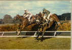 Chevaux De Course ,Saut De Haie Avant Les Tribunes / Thème Course,chevaux,tiercé,turf - Hippisme