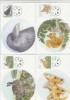 FINLANDIA 2004 - FDC -  Vari Fauna - 6 Interi Postali - Ours