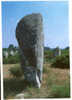 CARTE POSTALE DE CARNAC - ALIGNEMENTS DU MENEC - Dolmen & Menhirs