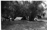 Jargeau.le Camping  Et La Loire . Photo Veritable.1950 - Jargeau