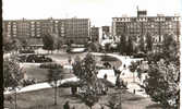 CARTE POSTALE DU HAVRE - LE SQUARE ST-ROCH - Square Saint-Roch