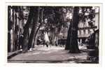 CERET - Boulevard Du Maréchal Joffre - Ceret