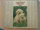 CALENDRIER ALMANACH DES  P.T.T. 1982  CHIENS / COTONS DE TULEAR TECKELS A POILS LONGS - Grossformat : 1981-90