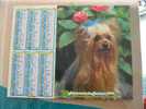 CALENDRIER ALMANACH DES  P.T.T. 1992 /CHIENS CHATS - Groot Formaat: 1991-00