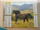 CALENDRIER ALMANACH DES  P.T.T DE 1998   CHEVAUX  INCOMPLET A  INTERIEUR - Groot Formaat: 1991-00