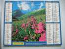 CALENDRIER ALMANACH DES P.T.T. DOUBLE PHOTOS/ 2004 /PORT VENDRE 66 P.O. /VALLON DE L ORGERE AIGUILLE DORAN MAURIENNE - Grand Format : 2001-...