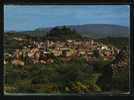 FORCALQUIER VUE GÉNÉRALE ET CABANON POINTU 1972 - Forcalquier