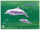 ENTIER POSTAL CHINE  STATIONERY 1ER JOUR  DAUPHIN WWF - Dauphins