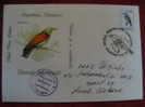 OBLITERATION OISEAU MOLDAVIE 1996 - Mechanical Postmarks (Advertisement)