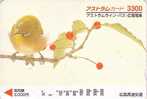 Oiseau Fauvette Japonaise - Japanese Warbler - Songbird Bird - Vogel - 16 - Songbirds & Tree Dwellers