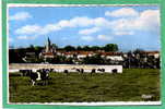 ARNOUVILLE Les GONESSE -- Le Vieux Pays 1950-60 - Arnouville Les Gonesses