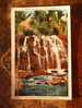 Silvery Waterfalls Elkmont Tennessee    PU 1937   F   D10061 - Autres & Non Classés